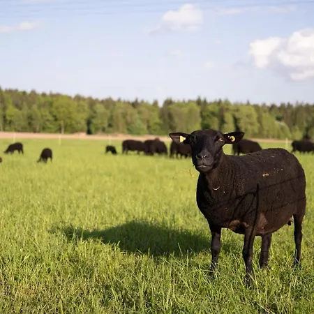 Auf Biohof Gutso Daire