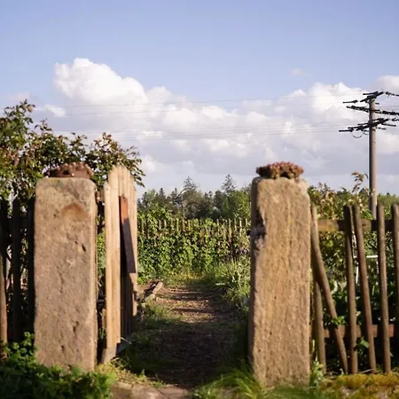 Daire Auf Biohof Gutso *
